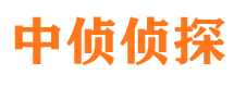 漾濞市私家侦探